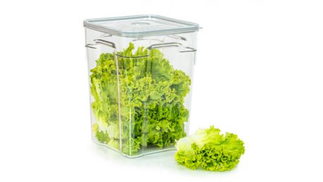 Gastro vakuumska posoda volumna 10 litrov z zeleno solato