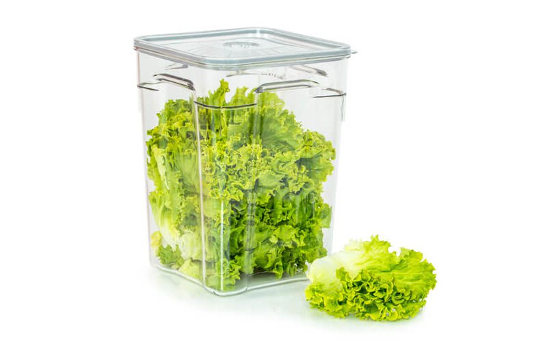 Gastro vakuumska posoda volumna 10 litrov z zeleno solato